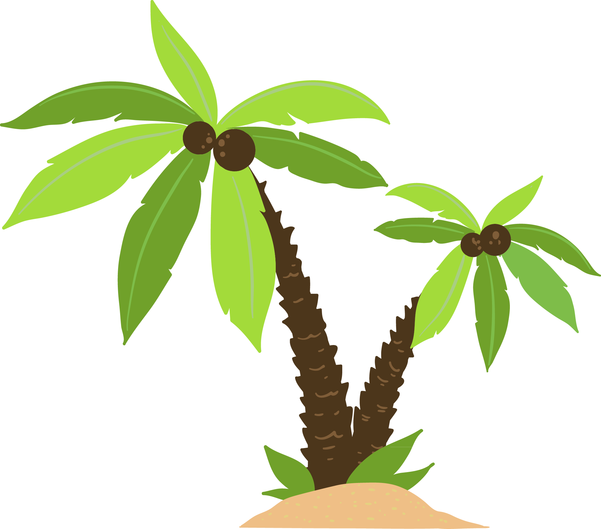 palm.png
